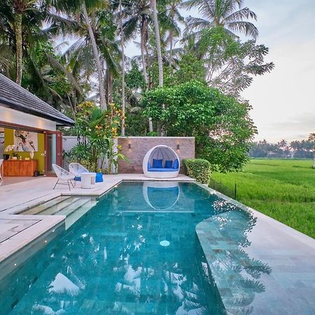 Villa Balinese Luxurious Elegance Ουμπούντ Εξωτερικό φωτογραφία