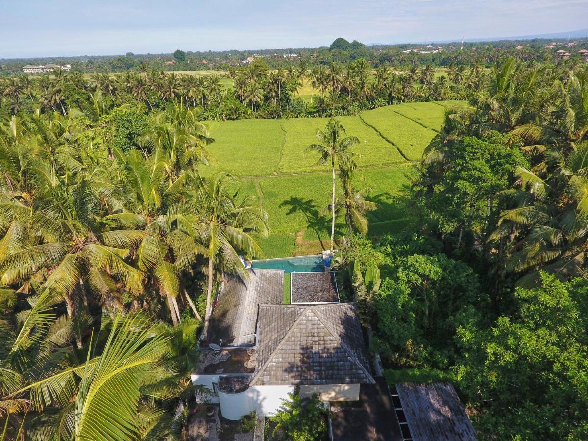 Villa Balinese Luxurious Elegance Ουμπούντ Εξωτερικό φωτογραφία