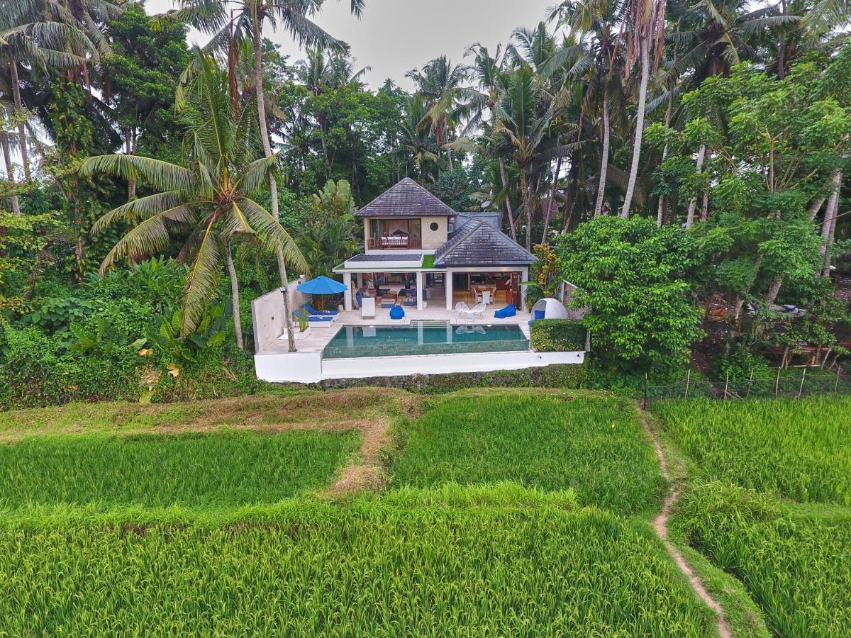 Villa Balinese Luxurious Elegance Ουμπούντ Εξωτερικό φωτογραφία