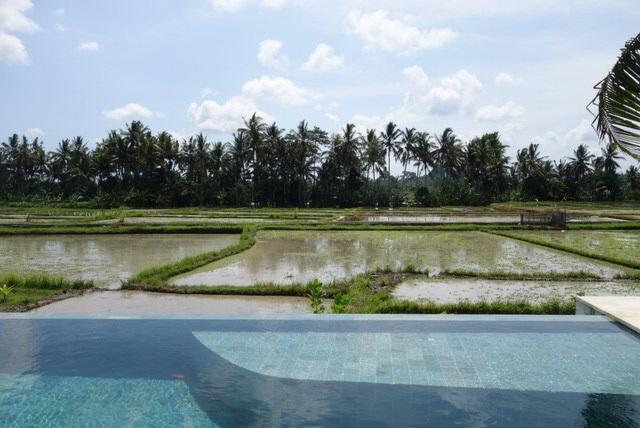Villa Balinese Luxurious Elegance Ουμπούντ Εξωτερικό φωτογραφία